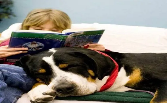 Reading aloud to dogs may make children develop positive attitude towards academics, says study