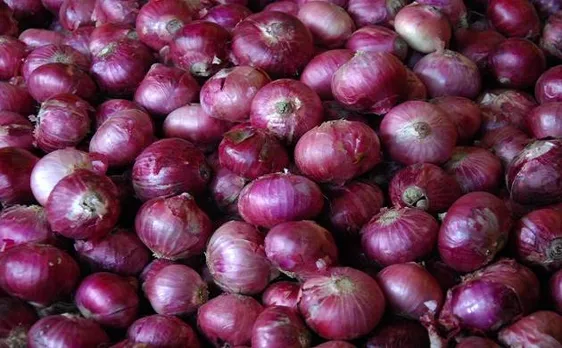 Red onions may be helpful in treating cancer, says study