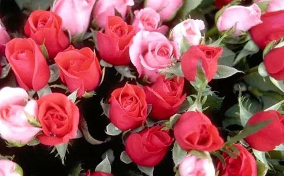 British Muslims hand out 3,000 roses to passersby, tourists at London Bridge as gesture of love