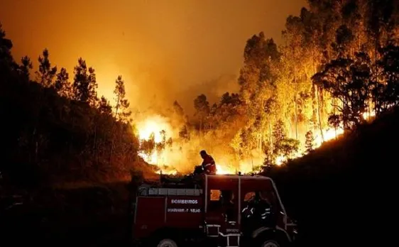 Massive forest fires kill at least 62 in Portugal, including 4 firefighters