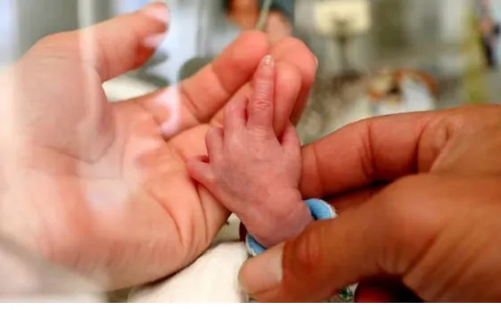 Mini-organs of skull, face may help treat facial deformities in newborns