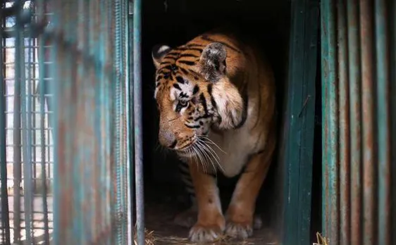BJP seeks inquiry into BMCâ€™s tender process for revamping zoo