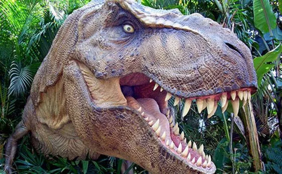 Dinosaurs' highly sensitive face helped them attract mates and eat, says study