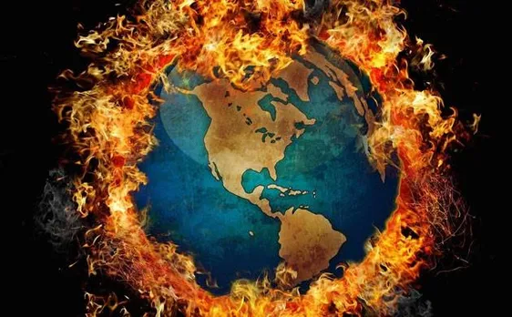 Mass extinction on Earth soon? Species being wiped out faster than ever before, warn scientists
