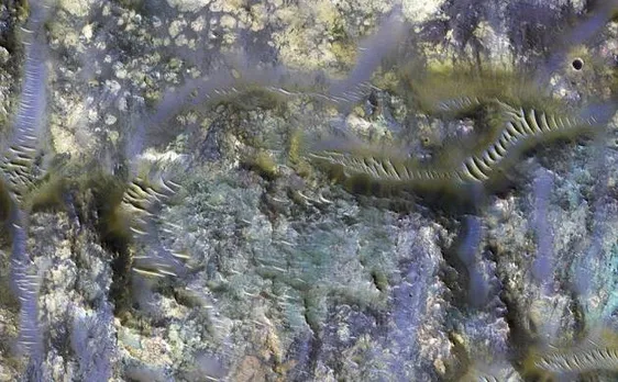 NASA discovers technicolor worms on Mars? Bizarre images reveal giant worm-like creatures on red planet