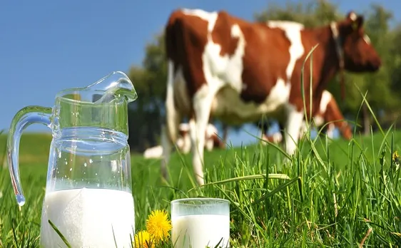 Having beer once a day instead of cow milk may help you posses much better health: study