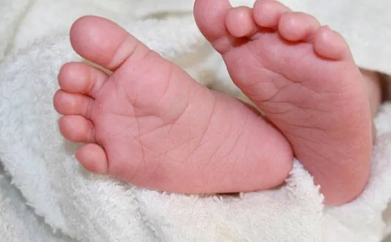 Heart-wrenching: Stray dog tries to eat newborn baby in Mandya