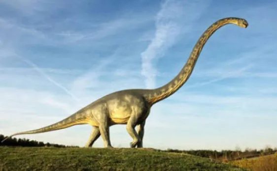 Dinosaur bones discovered in Australia; may reveal how evolution process for sauropods occurred