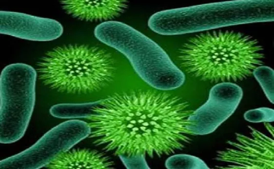 11 genetic markers identifed that accurately distinguishes viral and bacterial infections 