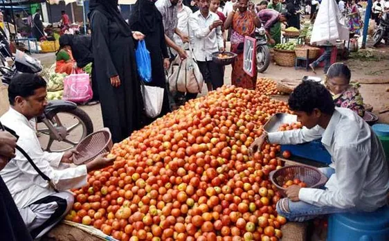 Tomato prices likely to fall in August after reaching Rs 100/kg 