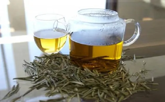 Rajasthan to brew a different cup of tea from olive leaves 