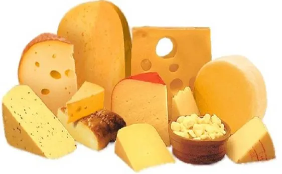 Eating cheese changed human skull shape, says study