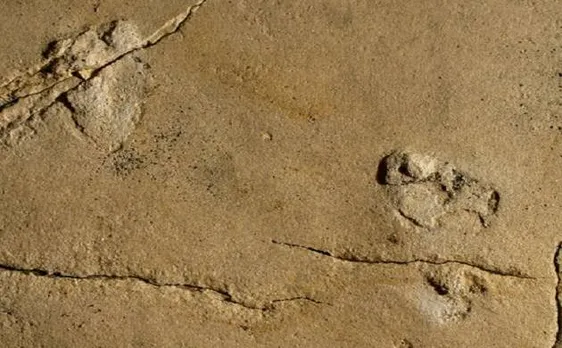 5.7 million years old human-like footprints discovered in Crete may challenge human evolution theories