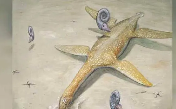 190-million-year-old giant sea monster from early Jurassic period found in Germany