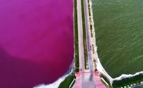 Miraculous! China's Dead Sea transforms into vivid 'pink and green' 