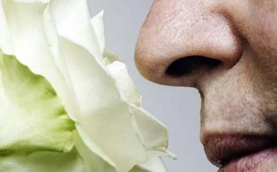 Smell test could determine risk of dementia in later life