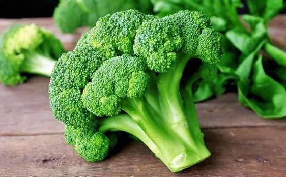 Eating broccoli may help improve your gut health, says study