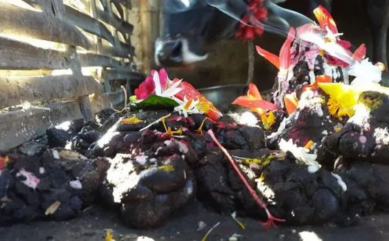 Govardhan Puja 2017: Know annakut puja vidhi, subh muhurat and history
