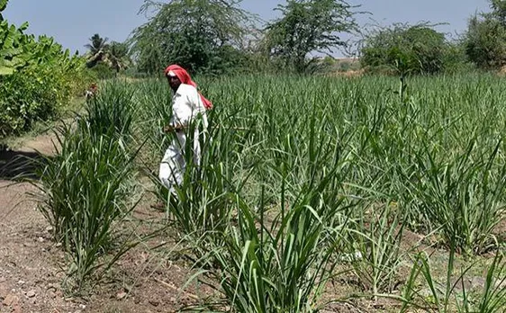 Maharashtra: Over 100 farmers seeking loan waiver have same Aadhaar number
