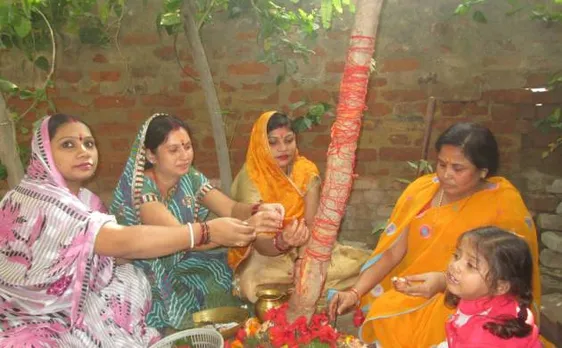Amla Navami 2017: Planting Amla trees on this auspicious day will bless you with health, wealth, and good luck