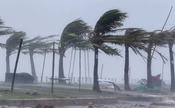 Typhoon Damrey hits Vietnam, more than a dozen people dead