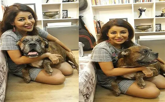 Exclusive: Actress Debina Bonnerjee reveals her stress-buster secret