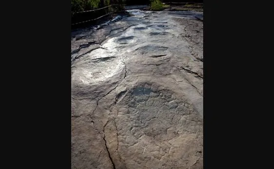World's longest sauropod trackway discovered in France