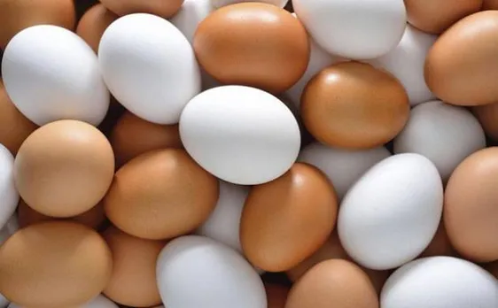 Eggs of Gold: Hen's rudiment selling at a high rate, prices likely to rise further