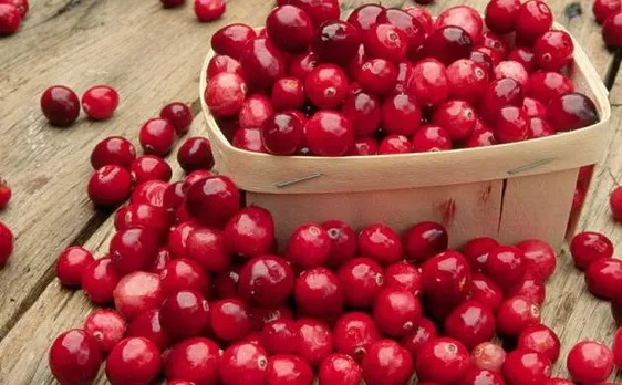 Cranberries, water, lemon to your daily diet may help reduce harmful effects of deadly smog