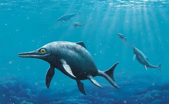 150 million-year-old fossilized remains of sea reptile discovered in Antarctica: Scientists