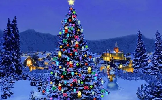 Coimbatore: 63 ft tall Christmas tree put up by City-based Poppys Hotel