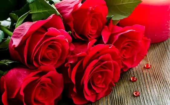 Rose Day 2018: Here's what each colour of Rose signifies