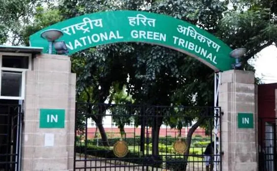 NGT directs CPCB to analyse samples of polluted Yamuna water