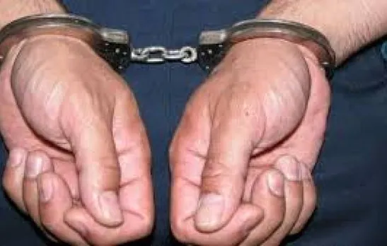 80 Tamil Nadu red sanders woodcutters arrested in  Andhra Pradesh