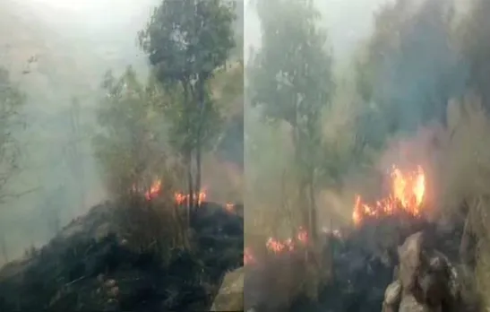 20 students caught in forest fire in Tamil Nadu, Sitharaman orders IAF to rescue them