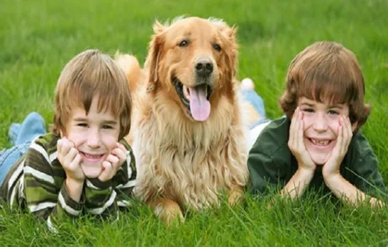 Spending time with specially trained dogs may help students release stress during exams, says study