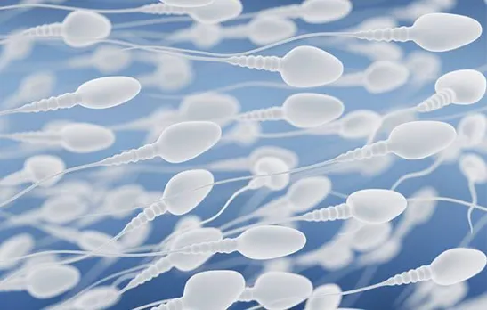 Low sperm count may signal poor health: Study