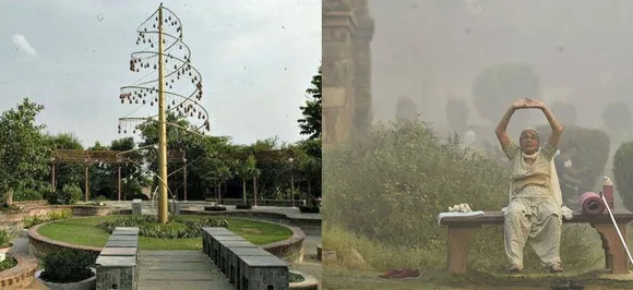 Just Take a walk in the park