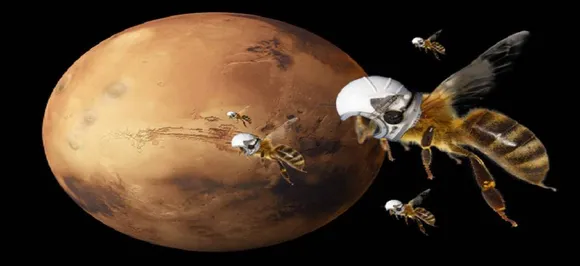 Robot bees to survey atmosphere of Mars, collect samples