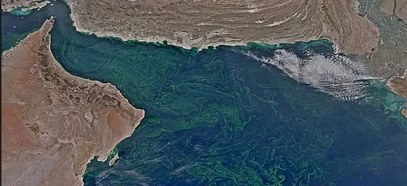 Gulf of Oman's 'dead zone' is expanding, Arabian Sea's 'dead zone' the largest