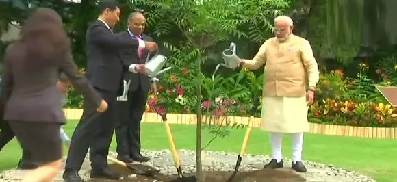 PM Narendra Modi plants Neem tree at Singapore's Nanyang Technological University