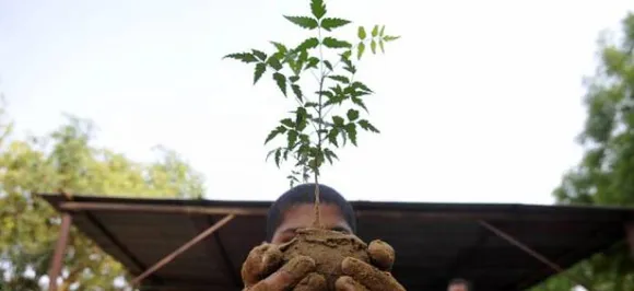 Indian farmer in UAE sets world record of distributing saplings
