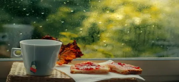 Monsoon health precautions: Five tips to keep infections at bay during monsoon