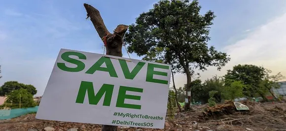 NGT direction not enough; Delhiites must heighten campaign against felling of trees