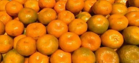 Oranges may improve your vision, prevent macular degeneration