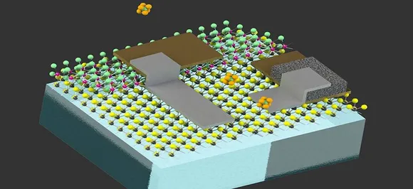 How cell-sized robots can help diagnose disease in your body