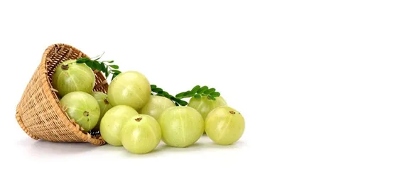 How the ancient amla therapy helps hair growth