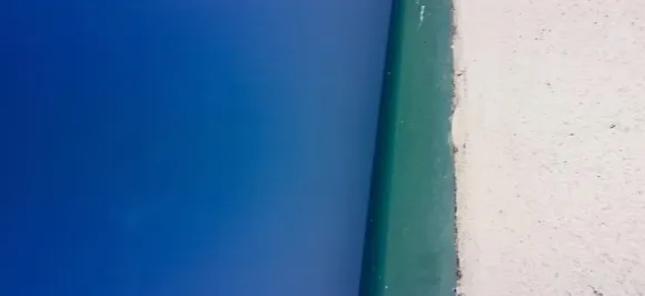 Door or beach? Different impressions are rounding social media with a baffling trend!