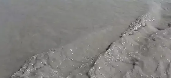 Siang river in sorry state, needs dredging: Arunachal MP writes to Rajnath Singh
