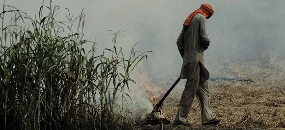 Punjab govt to appoint nodal officers to check stubble burning